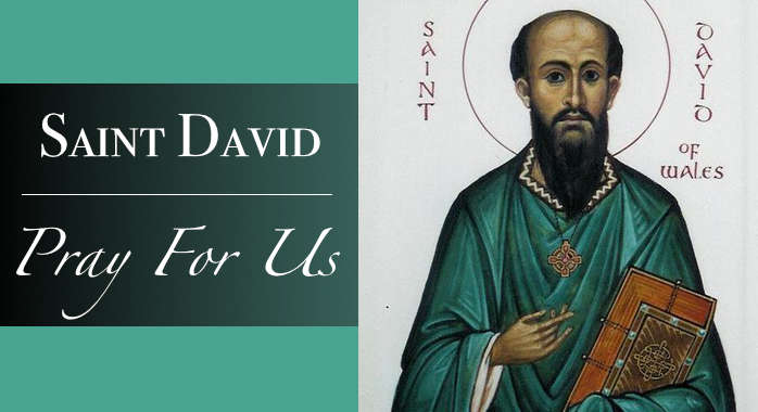 Saint David Bracelet