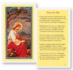 Pray For Me Laminated Prayer Card [HPR750]
