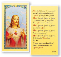Sacred Heart of Jesus Laminated Prayer Card [HPR156]